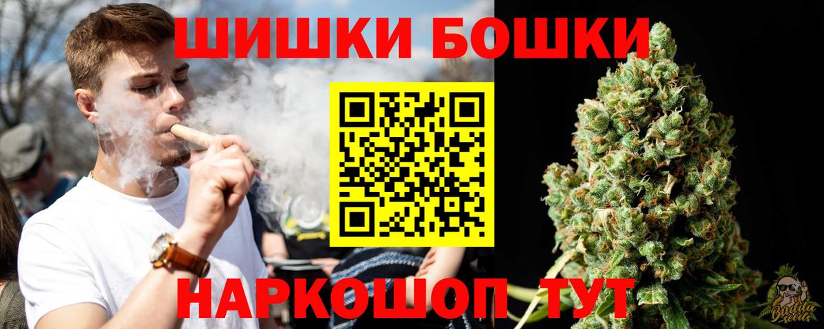 Каннабис планчик Шали