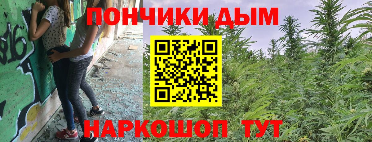 МАРИХУАНА гибрид  Вход с VPN  Марихуана OG Kush  Конопля индика  Шали 